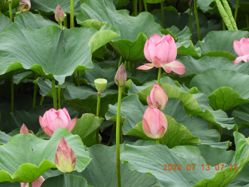 DSCN9689.JPG