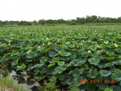DSCN9692.JPG