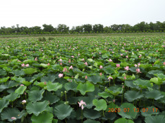 DSCN9693.JPG
