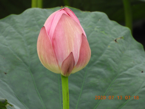 DSCN9696.JPG