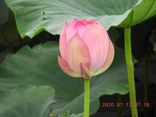 DSCN9695.JPG