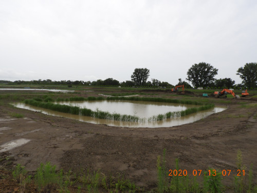 DSCN9699.JPG