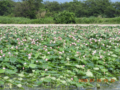 DSCN9769.JPG