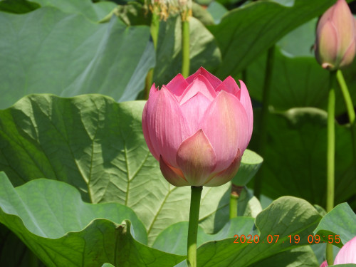 DSCN9772.JPG