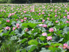 DSCN9781.JPG