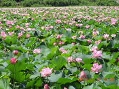 DSCN9783.JPG
