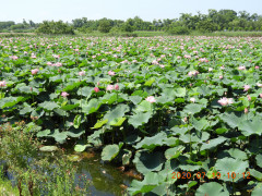 DSCN9795.JPG