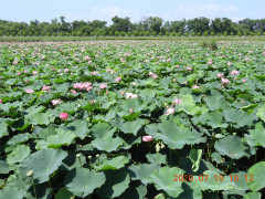DSCN9796.JPG