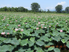 DSCN9797.JPG