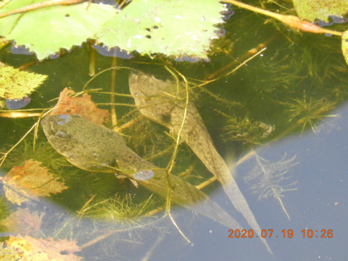 DSCN9813.JPG