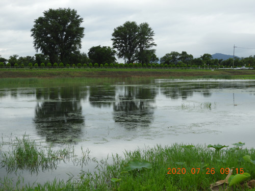 DSCN9826.JPG