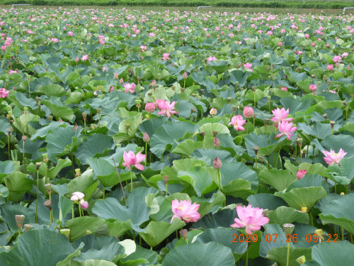 DSCN9828.JPG