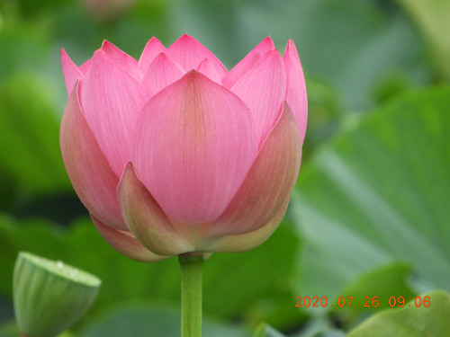 DSCN9819.JPG