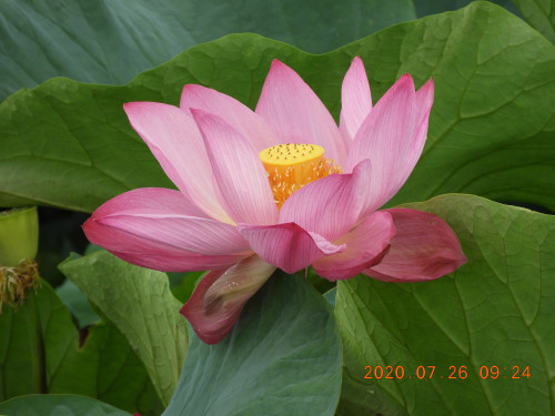 DSCN9829.JPG