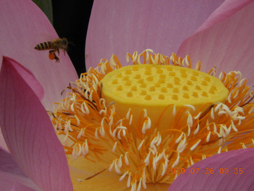 DSCN9856.JPG