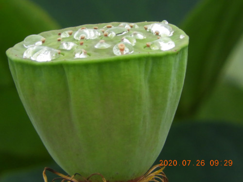 DSCN9836.JPG