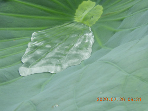 DSCN9841.JPG