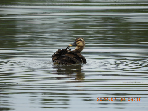DSCN9937.JPG