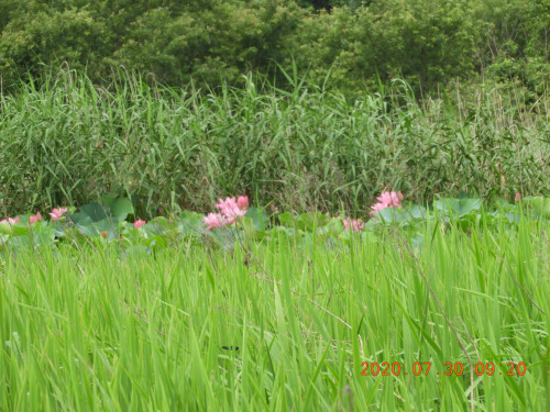 DSCN9940.JPG