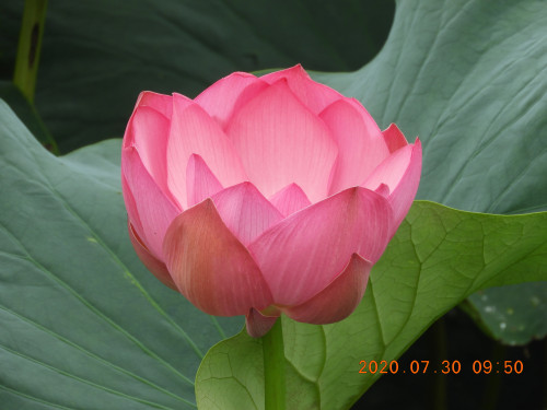 DSCN9954.JPG
