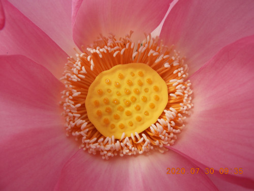 DSCN9944.JPG