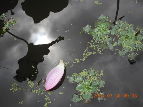 DSCN9947.JPG