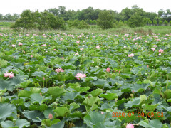 DSCN9957.JPG