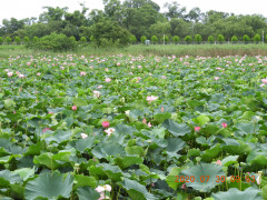 DSCN9958.JPG