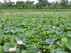 DSCN9959.JPG