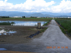 DSCN9973.JPG