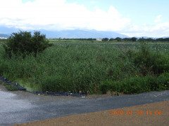 DSCN9974.JPG