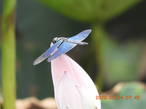 DSCN0003.JPG