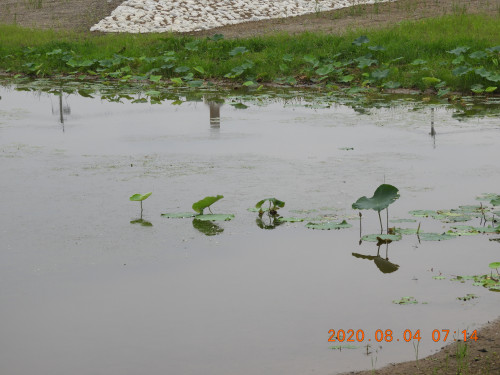 DSCN9989.JPG