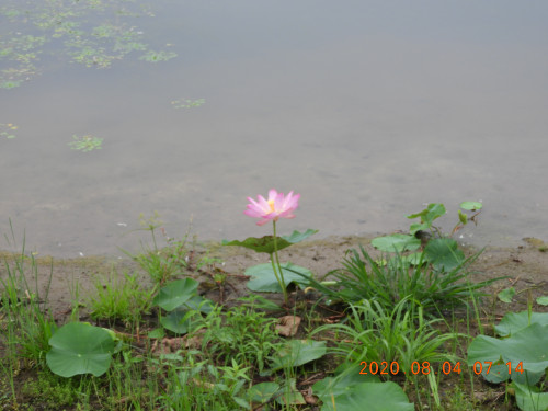 DSCN9988.JPG