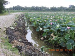 DSCN0035.JPG