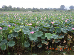 DSCN0036.JPG