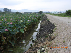 DSCN0037.JPG