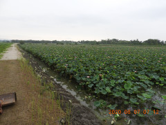 DSCN0045.JPG