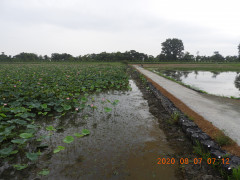 DSCN0044.JPG