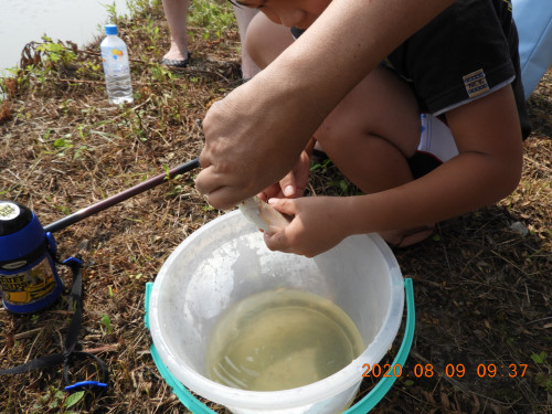 DSCN0080.JPG