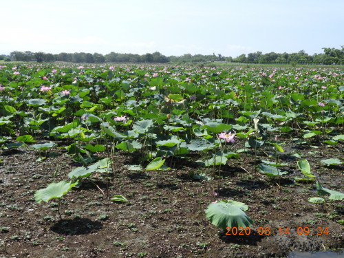 DSCN0133.JPG