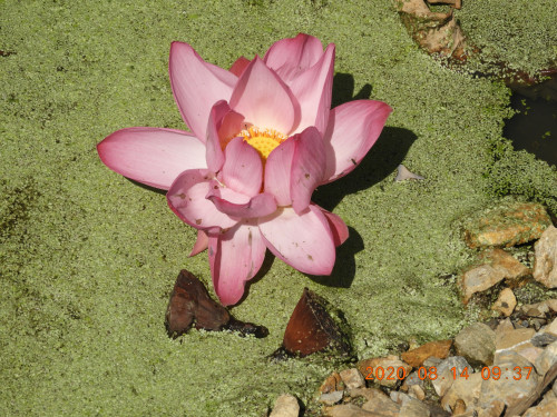 DSCN0135.JPG