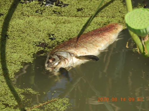 DSCN0140.JPG