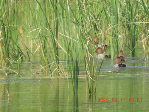 DSCN0147.JPG