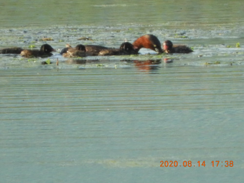 DSCN0171.JPG