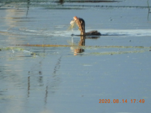 DSCN0203.JPG