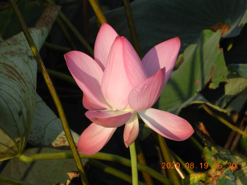 DSCN0247.JPG