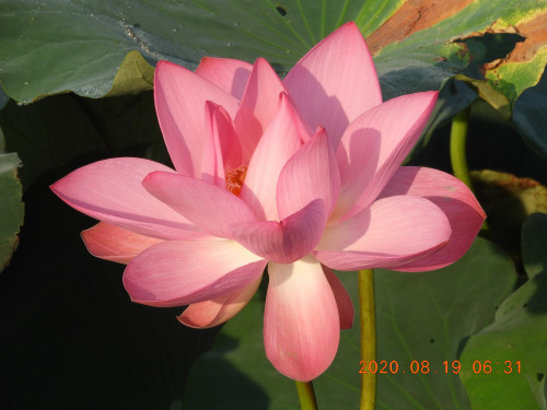 DSCN0248.JPG