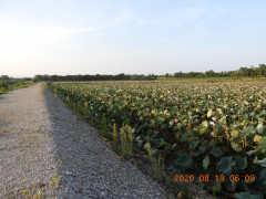 DSCN0235.JPG