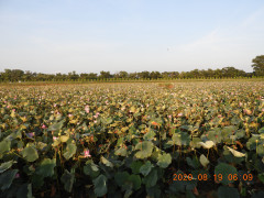DSCN0236.JPG